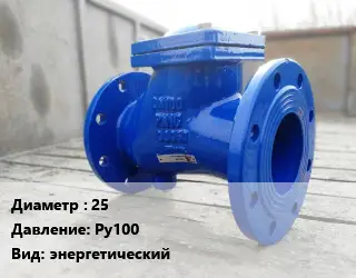 Клапан стальной 25 Ру100 энергетический